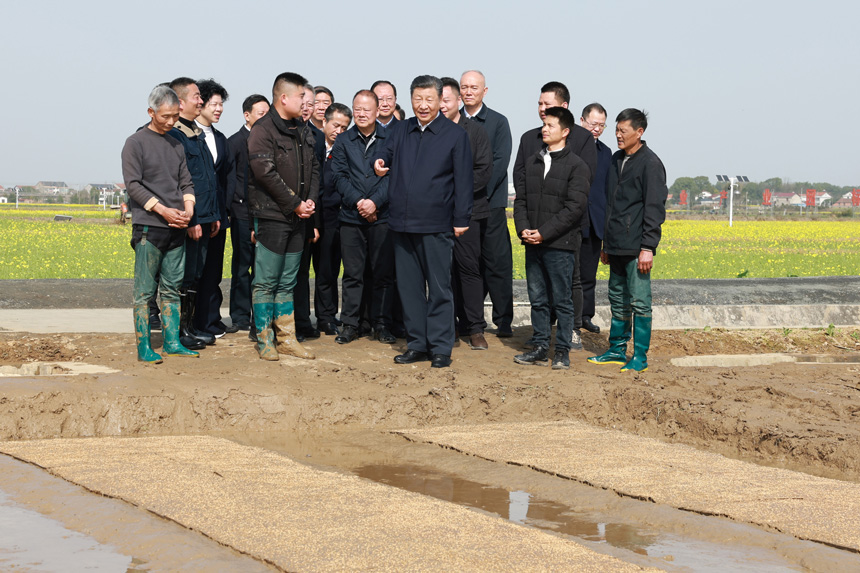 2024年3月18日至21日，中共中央總書(shū)記、國(guó)家主席、中央軍委主席習(xí)近平在湖南考察。這是19日下午，習(xí)近平在常德市鼎城區(qū)謝家鋪鎮(zhèn)港中坪村走進(jìn)田間，察看秧苗培育和春耕備耕進(jìn)展。新華社記者 王曄 攝